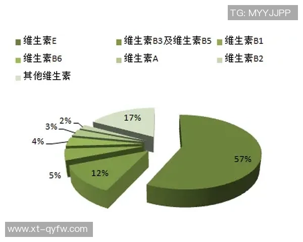 武汉羽毛球队实力分析与表现评估探讨及未来发展方向研究